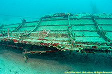 wing of DC-3 wreck